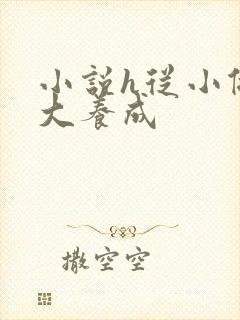 小说h从小做到大养成