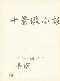 十景缎小说