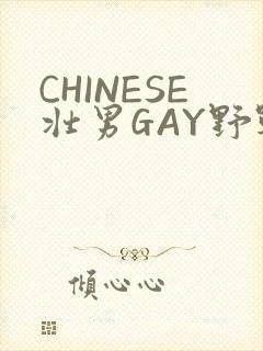 CHINESE壮男GAY野战强迫TUBE