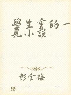 学生会的一己之见小说