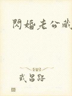 闪婚老公藏不住