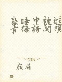 熟睡中被进了H青梅诱哄视频