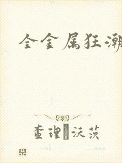 全金属狂潮小说