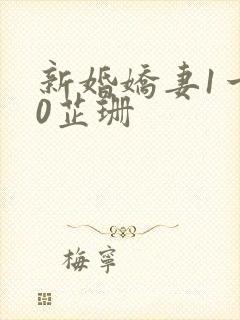 新婚娇妻1一40芷珊