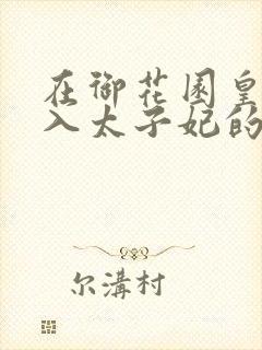 在御花园皇上进入太子妃的小说