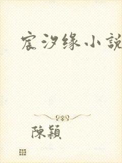 宸汐缘小说