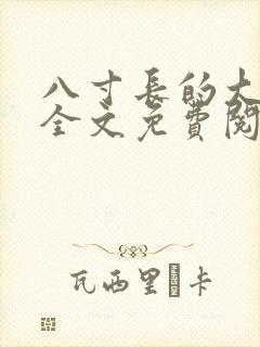 八寸长的大宝贝全文免费阅读