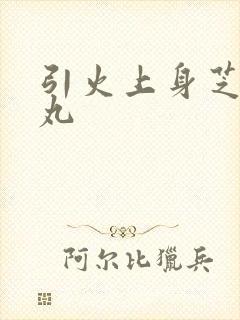 引火上身芝麻糖丸