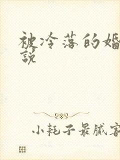 被冷落的婚姻小说
