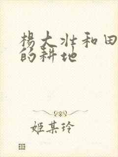 杨大壮和田桂花的耕地