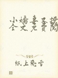 小娇妻又撩又甜全文免费阅读