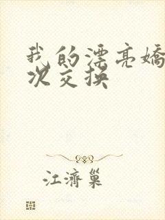 我的漂亮娇妻初次交换