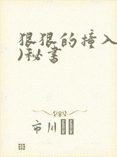 狠狠的撞入(h)秘书