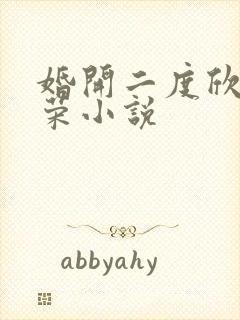 婚开二度欣欣向荣小说