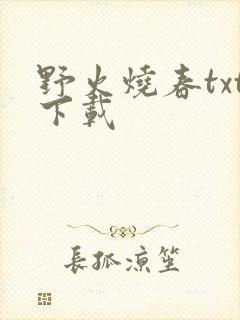 野火烧春txt下载