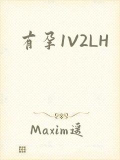 有孕1V2LH