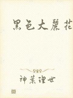 黑色大丽花图片