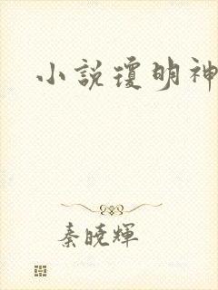 小说琼明神女录