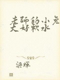 老师的小兔子好大好软水