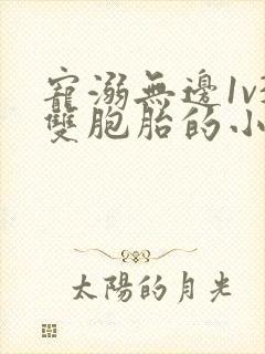 宠溺无边1v3双胞胎的小说