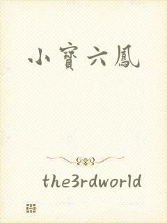 小宝六凤