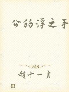 公的浮之手中字