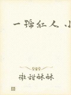 一号红人 小说