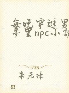 每晚穿进男神的梦里npc小说