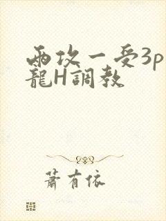 两攻一受3p双龙H调教