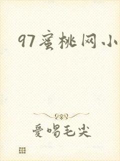 97蜜桃网小说