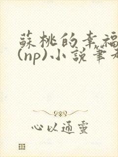 苏桃的幸福生活(np)小说笔趣阁沐沐