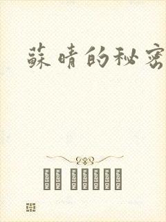 苏晴的秘密小说