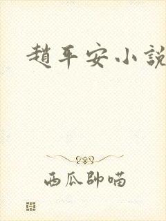 赵平安小说主角