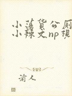 小荡货公厕h文小辣文np视频