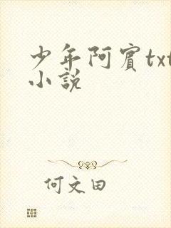 少年阿宾txt小说