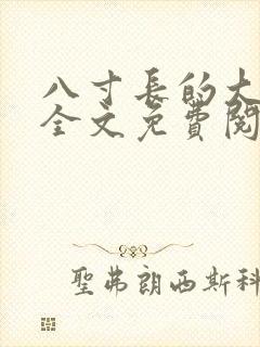 八寸长的大宝贝全文免费阅读