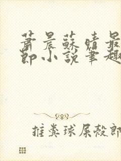 萧晨苏晴最新章节小说笔趣阁