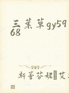 三叶草gy5968
