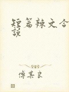 短篇辣文合集小说