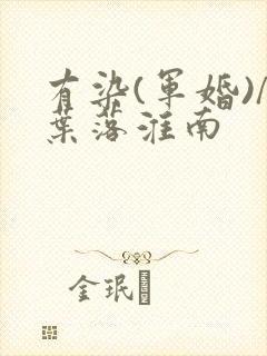 有染(军婚)/叶落淮南