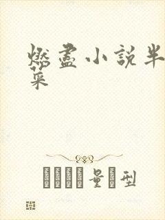 燃尽小说半截白菜