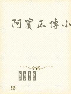 阿宾正传小说