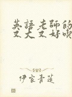 英语老师的兔子又大又好吃