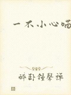 一不小心喵上你