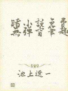 赌小说免费阅读无弹窗笔趣阁