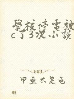 学校停电被同桌c了3次小说