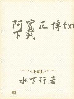 阿宾正传txt下载