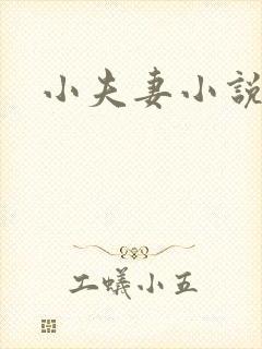 小夫妻小说