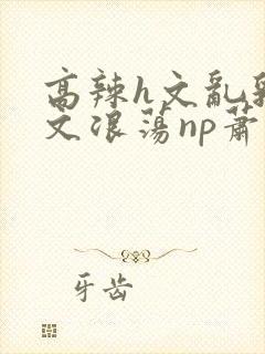 高辣h文乱乳h文浪荡np萧太后