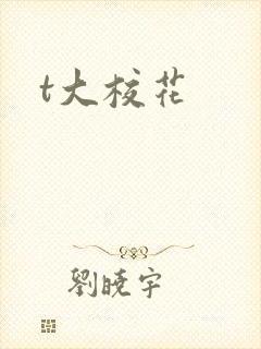 t大校花